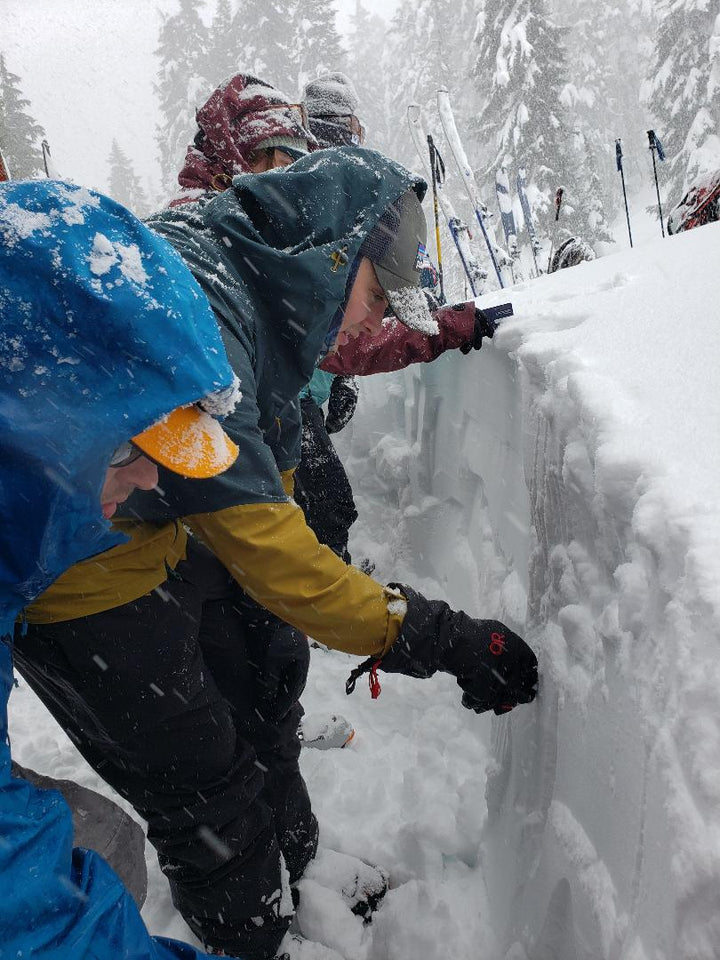Students evaluating layers in the snowpack during avalanche course on a snowy day.