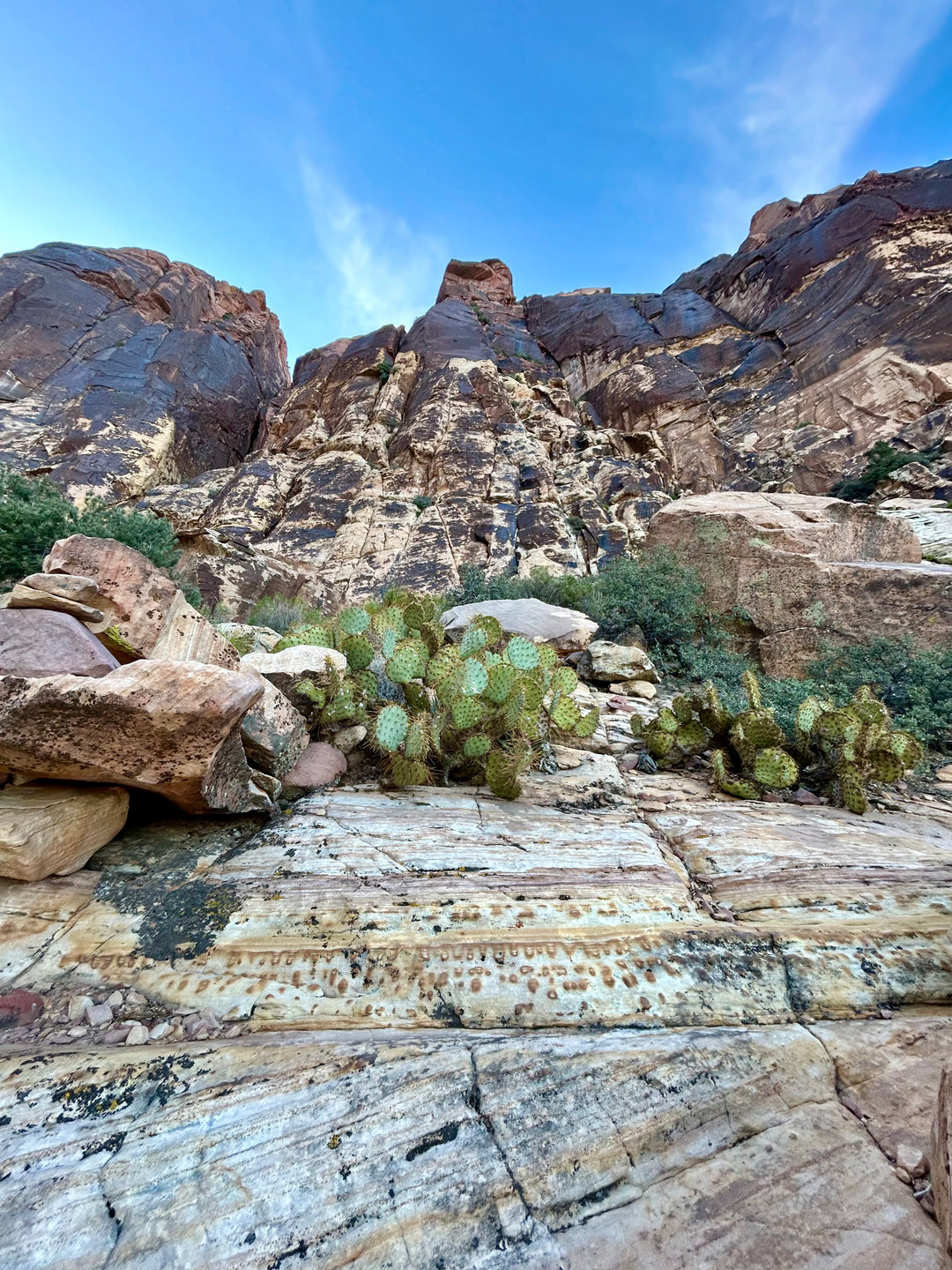 Red Rock, Nevada Climbing