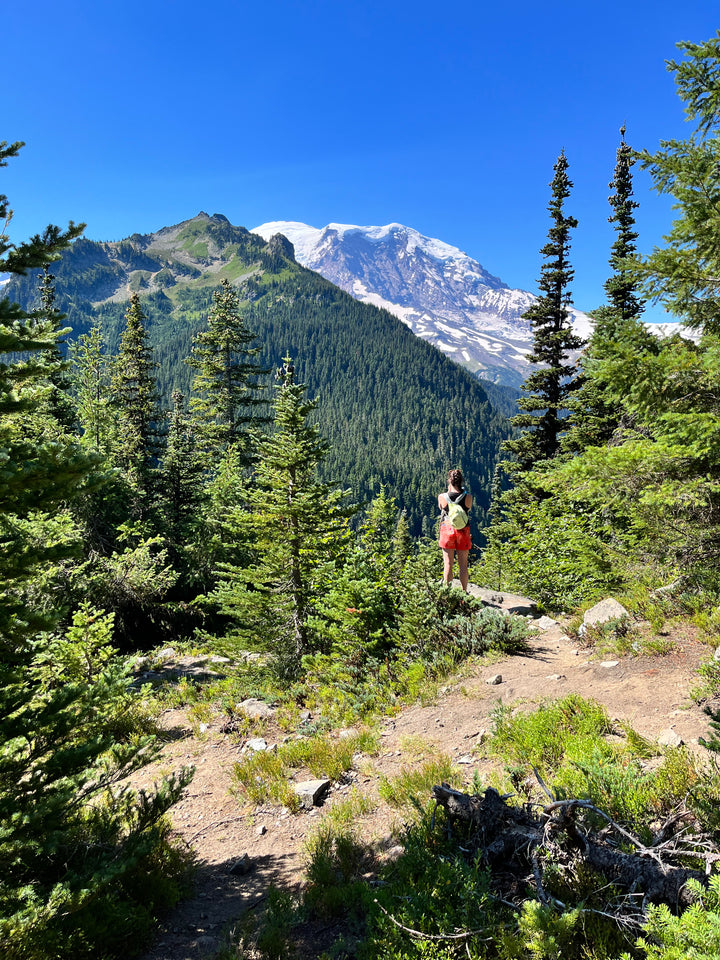 Mount Rainier Day Hike