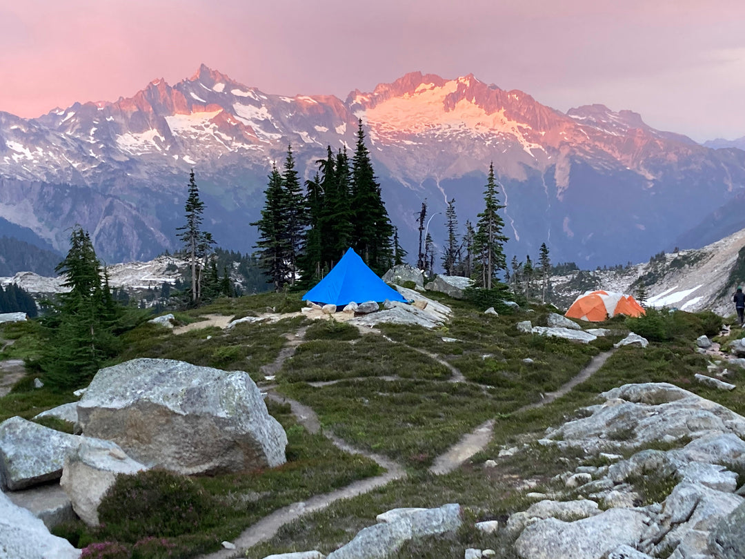 mountain range with pine trees and red tent