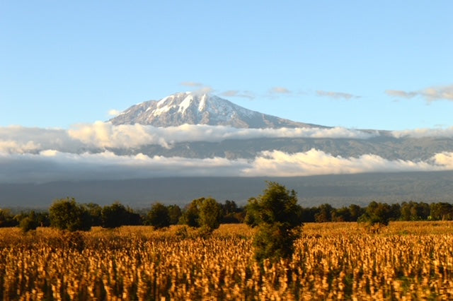 Mount Kilimanjaro Summit Climb