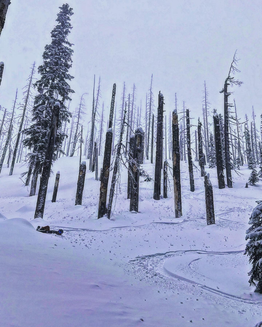 Backcountry Skiing and Splitboarding Beginner Course