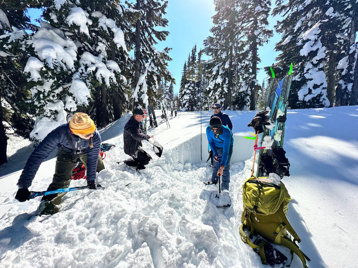 Students digging a snow pit during avalanche course on a sunny day.