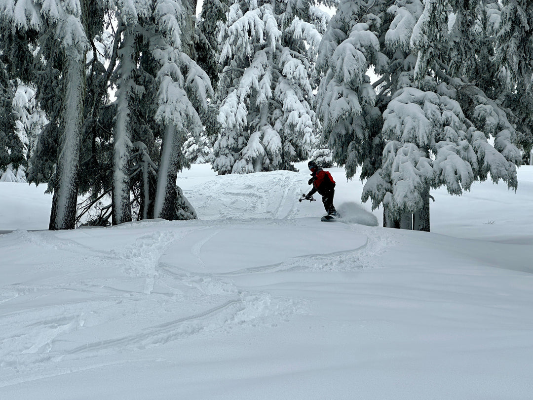 Oregon Backcountry Mentorship Program