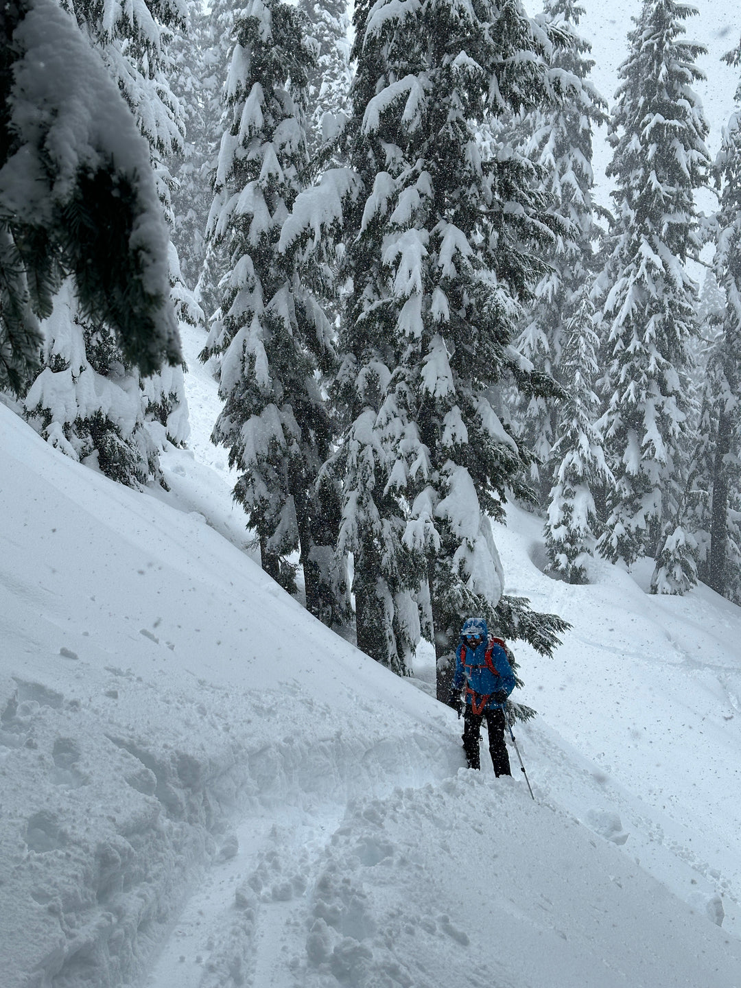 Oregon Backcountry Mentorship Program