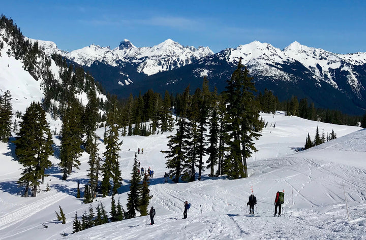 Guided Snowshoeing