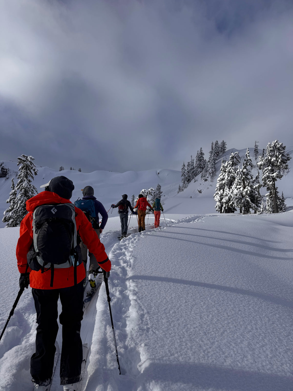 3-day Beginner AIARE Level 1 Avalanche Safety