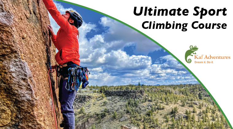 person in a red jacket rock climbing with trees and blue sky stretching behind them