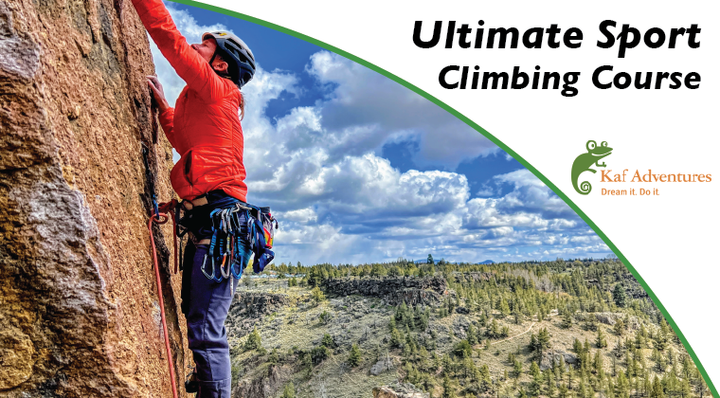 person in a red jacket rock climbing with trees and blue sky stretching behind them