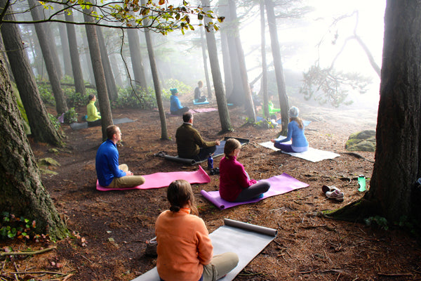 Mt. Rainier Backpacking & Yoga