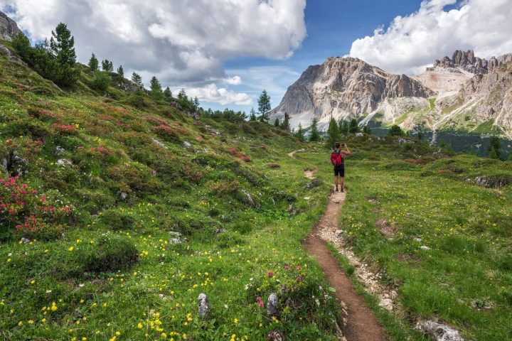 a hiker in a wildflower meadow beneath craggy mountains on a guided hiking tour